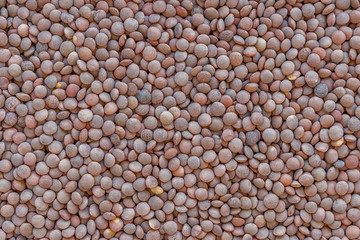  lentils texture background