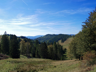 Schwarzwald Landschaft. Feldberg über das Bernauer Kreuz zum Hasenhorn bei Todtnau sind beliebte Wandergegenden