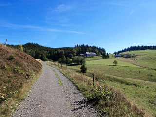 Fototapeta na wymiar Schwarzwald Landschaft. Feldberg über das Bernauer Kreuz zum Hasenhorn bei Todtnau sind beliebte Wandergegenden