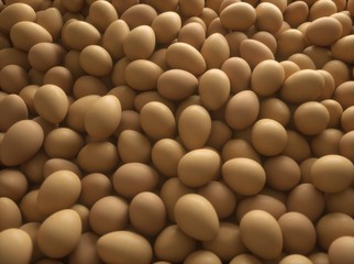 Eggs texture nº2