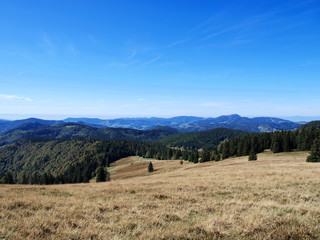 Fototapeta premium Schwarzwald. Blick auf dem Gipfel des Herzogenhorns