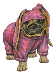 Dog in costume watercolor illustration