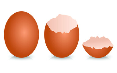 Broken egg shell vector design illustration