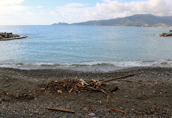 Spiaggia di sassi con detriti dopo la tempesta