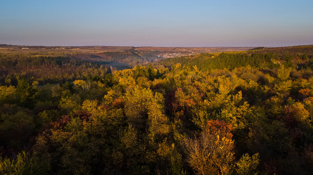 Drone flight above a forest in autumn