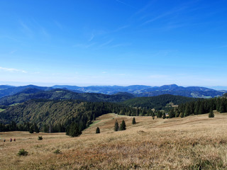 Fototapeta premium Schwarzwald. Blick auf dem Gipfel des Herzogenhorns