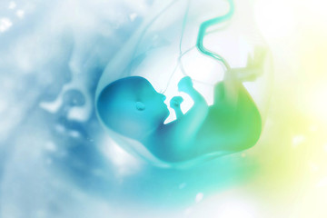 Fototapeta na wymiar Human fetus on scientific background