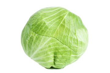 Obraz premium A cabbage on white background 