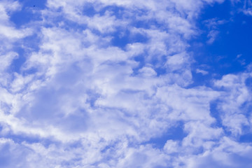 fresh clear blue sky with light cloud