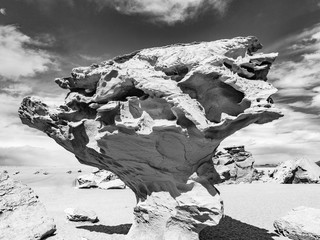 Arbol de Piedra (tree of rock), the famous stone tree rock formation created by wind, in the Siloli desert in Bolivia