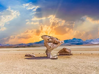 Deurstickers Arbol de Piedra (boom van rots), de beroemde rotsformatie van stenen bomen gecreëerd door wind, in de Siloli-woestijn in Bolivia © travelview