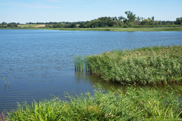 Biskupin lake in Biskupin. Poland © Andrey Shevchenko