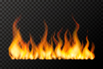 Wide bright fire flame on transparent © EvgeniyBobrov
