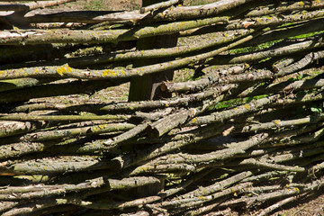 Fence in Biskupin. Poland © Andrey Shevchenko