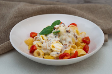 Cooked pasta with a cream sauce and roasted chicken cured with emmental.