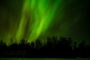 Aurora Borealis in Canada