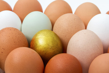Colorful chicken eggs with golden egg