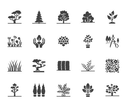 Trees flat glyph icons set. Plants, landscape design, fir tree, succulent, privacy shrub, lawn grass, flowers vector illustrations. Signs for garden store. Solid silhouette pixel perfect 64x64