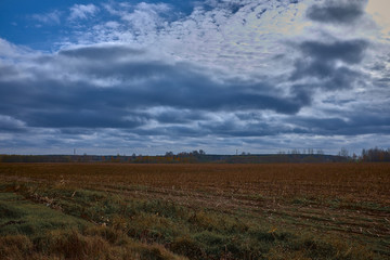 cloudy sky over brown field after harvesting
