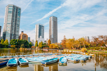 Ueno park Shinobazu pond and autumn maple street in Tokyo, Japan