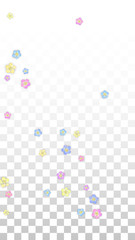 Vector Realistic Colorful Petals Falling on Transparent Background.  Spring Romantic Flowers Illustration. Flying Petals. Sakura Spa Design. Blossom Confetti. Design Elements for Wedding Decoration.