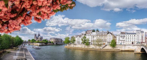 Panorama with Notre Dame cathedral and boat on Seine in Paris, France