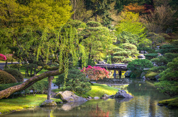 Japanese garden with small pond and a bridge in Seattle, Washington