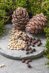 Two pine cones and nuts on a gray concrete background..