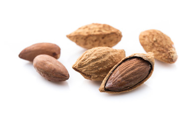 Almond isolated on white