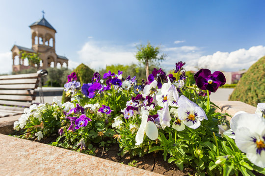 Flower bed in front of bell tower of  Holy Trinity Cathedral of Tbilisi (commonly known as Sameba). Tbilisi, Georgia.