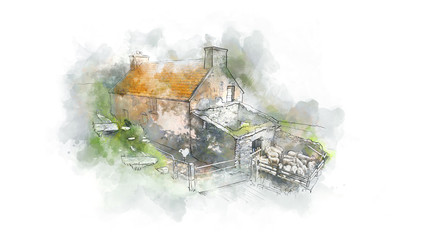 Small farm in Ireland