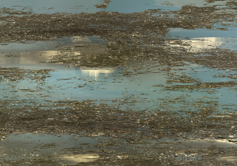 reflecting water on sand 35x25cm 300dpi