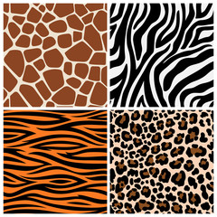 Zebra, giraffe and leopard patterns. Vector tiger stripes and jaguar spots fur, giraffe and zebra seamless skin prints