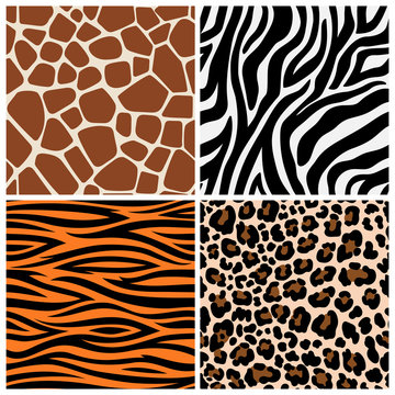 Zebra, giraffe and leopard patterns. Vector tiger stripes and jaguar spots fur, giraffe and zebra seamless skin prints