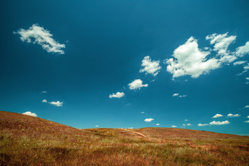 Naklejka na ściany i meble Desert landscape. Hills with dry grass and blue sky