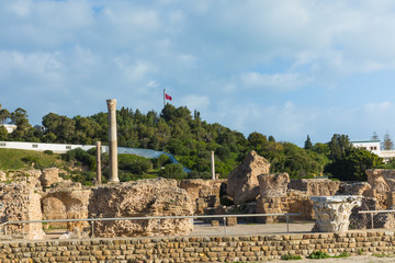 Fototapeta na wymiar Ruins of the ancient Carthage city, Tunis, Tunisia, North Africa.