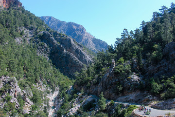 the road in the canyon of the mountain river in the forest nature landscape