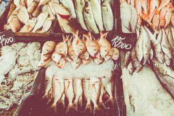 Traditional fish market in Tunisia.