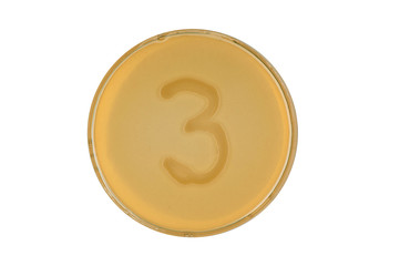 bacteria escherichia coli culture on plate in shape digit 3