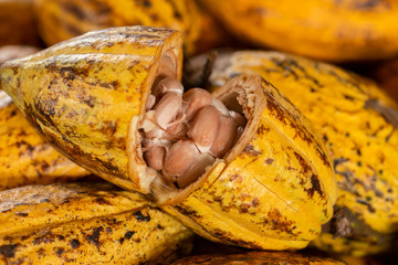 Cocoa beans and cocoa pod on a wooden surface