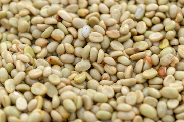 natural organic green coffee beans