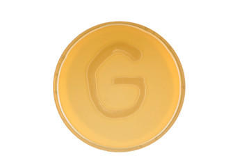 bacteria escherichia coli culture on plate in shape letter g