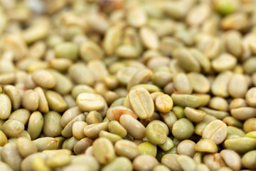 natural organic green coffee beans
