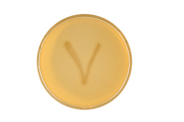 bacteria escherichia coli culture on plate in shape letter v