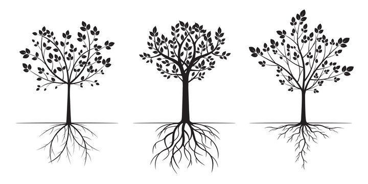 Black Trees with Leaves. Vector Illustration.