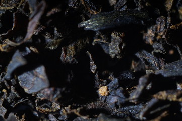 Tea texture background. Macro close up