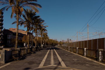 Fototapeta premium Palmenallee in Sizilien