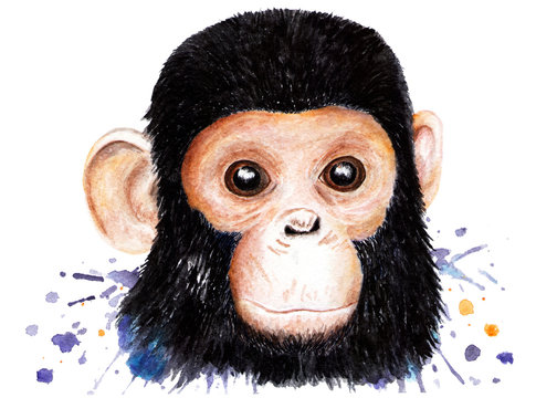 Portrait of a chimpanzee. Watercolor illustration.
Monkey. Illustration for printing on t-shirts, t-shirts. Unusual fashion illustration with chimpanzees. Illustration for design, decor.