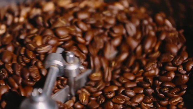 Roasting coffee. Coffee roasting machine. Close-up.