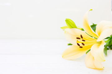 Coconut spa wellness natural skin care concept